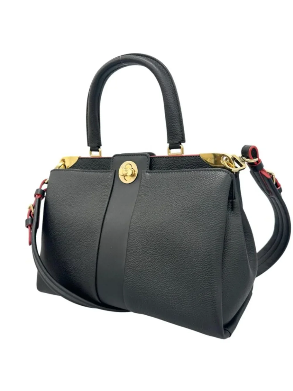 Louis Vuitton brand louis